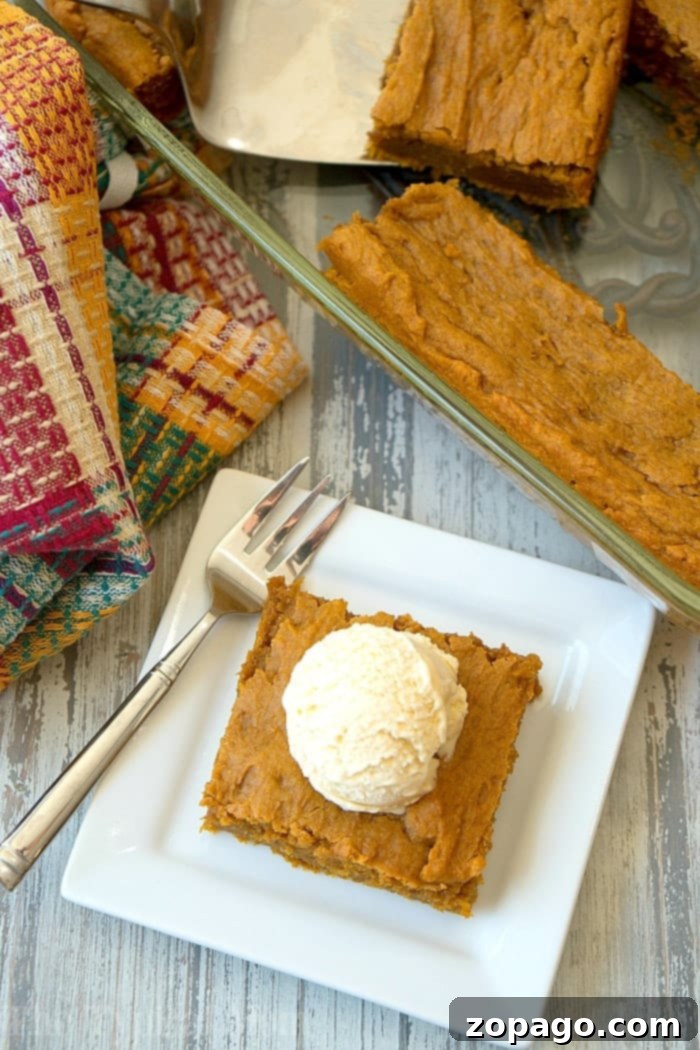 This easy pumpkin pudding cake recipe tastes like pumpkin pie but way better! Just 6 ingredients to dump in and bake to moist perfection. Best Fall dessert! #pumpkin #cake #dump #pudding #sheet Close-up of a perfectly baked easy pumpkin pudding cake, showcasing its rich texture and warm color, ready to be sliced.