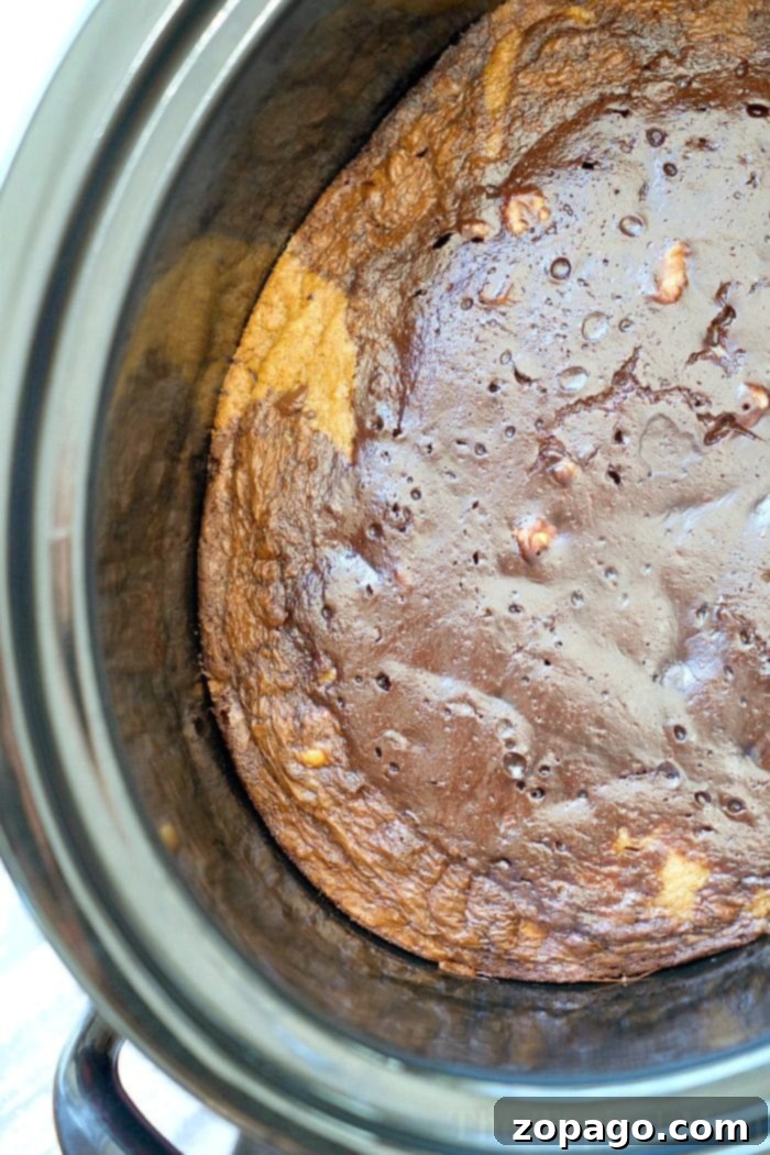 How to make crockpot brownie cookies that are gooey chocolate bites of brownies and chocolate chip cookies in one! Easy slow cooker dessert you'll love. #crockpot #slowcooker #brookies #brownies #brownie #cookies #dessert A close-up shot of decadent crockpot brookies, showing the layers of cookie and brownie, ready to be scooped and enjoyed.