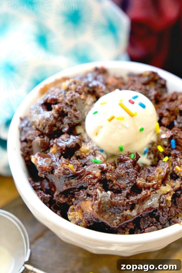 How to make crockpot brownie cookies that are gooey chocolate bites of brownies and chocolate chip cookies in one! Easy slow cooker dessert you'll love. #crockpot #slowcooker #brookies #brownies #brownie #cookies #dessert A close-up of a warm serving of crockpot brownie cookies with melted chocolate chips, ready to be enjoyed.