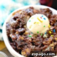 Fudgy Crockpot Brookies 3 A close-up of a chocolate cake in a white bowl, reminiscent of rich crockpot brownie cookies, topped with a scoop of vanilla ice cream and colorful sprinkles. The background features a blue and white patterned cloth.