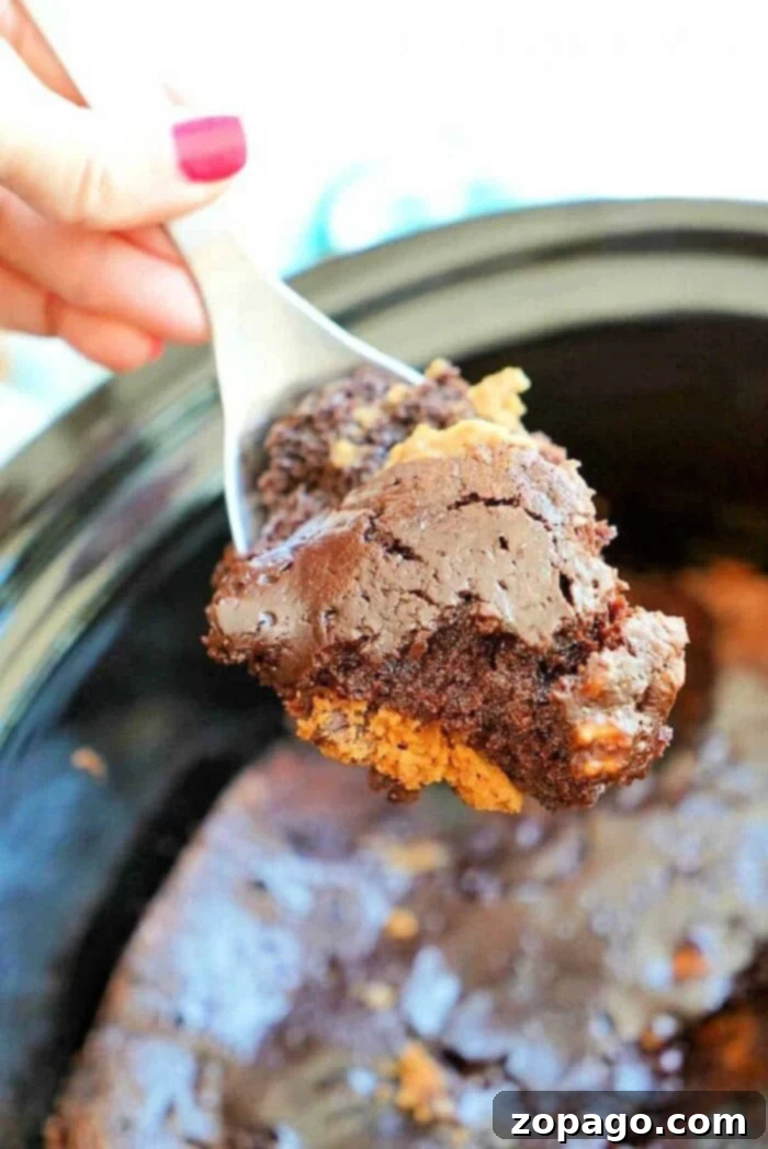 Fudgy Crockpot Brookies 4 A warm, gooey serving of crockpot brookies, showcasing the irresistible combination of brownie and cookie textures.