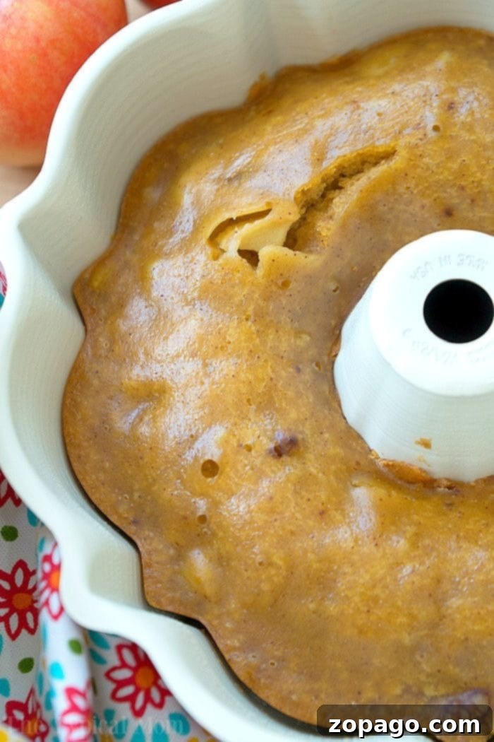 The delicious Instant Pot pumpkin apple cake batter, ready for the pressure cooker. Instant Pot pumpkin apple cake batter in a bundt pan, ready for cooking
