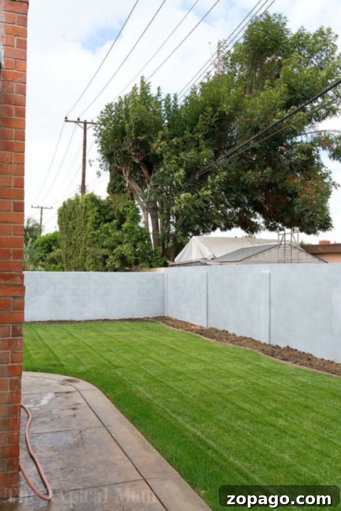 Essential strategies for renting out your home renting out your home strategy