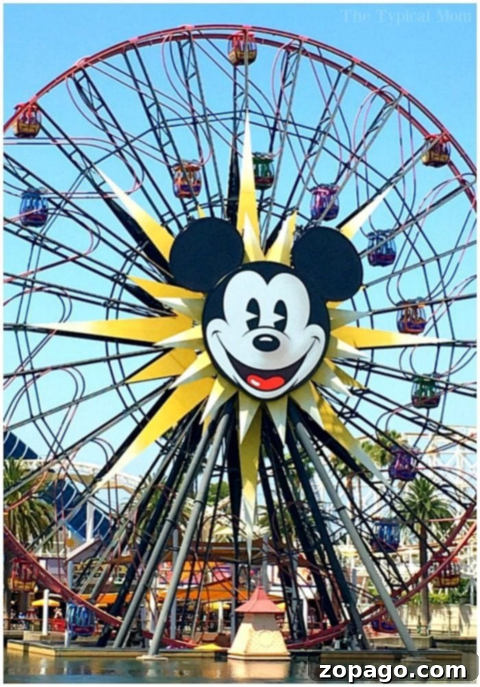 Making memories at Disneyland Family enjoying a walk through Disneyland