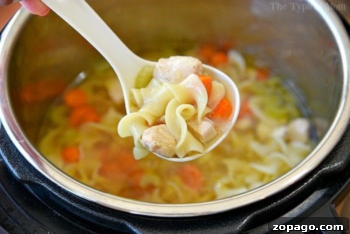 Hearty pressure cooker chicken noodle soup, a perfect comfort food.