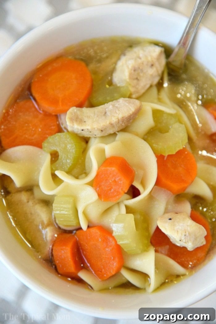 A steaming bowl of Instant Pot chicken noodle soup, rich with vegetables and pasta.