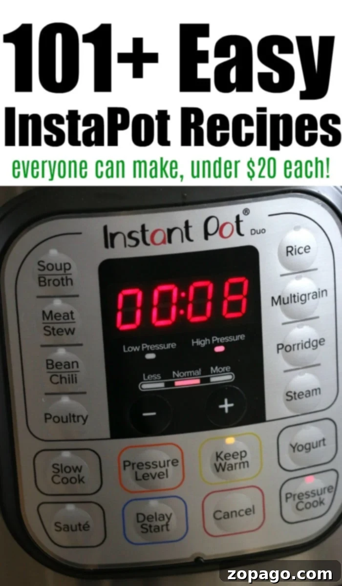 Frugal Instant Pot Feasts 4 A decadent Instant Pot chocolate cake garnished with berries and a dusting of powdered sugar, highlighting the versatility of the pressure cooker for easy and impressive desserts.