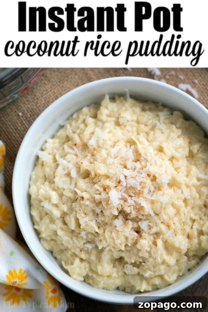 Creamy Instant Pot coconut rice pudding, an easy and cheap dessert. #instantpot #ricepudding A bowl of creamy Instant Pot coconut rice pudding, a delicious and cheap dessert.