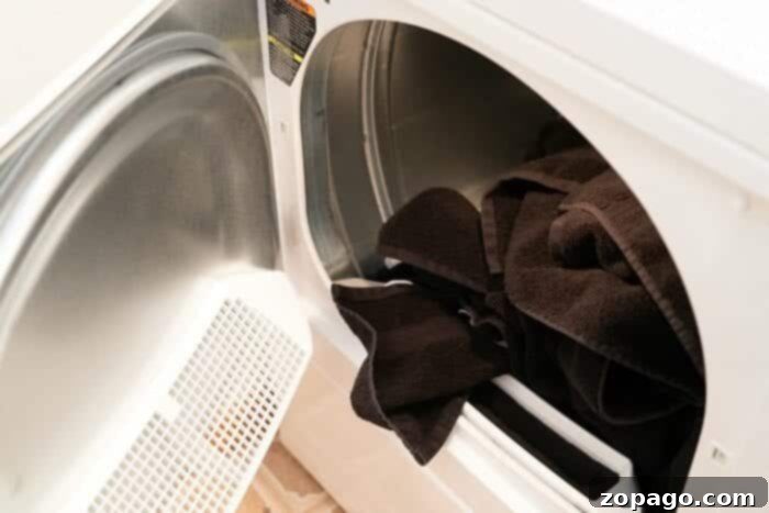 Your Free Printable Autumn Cleaning Guide 4 speed queen dryer