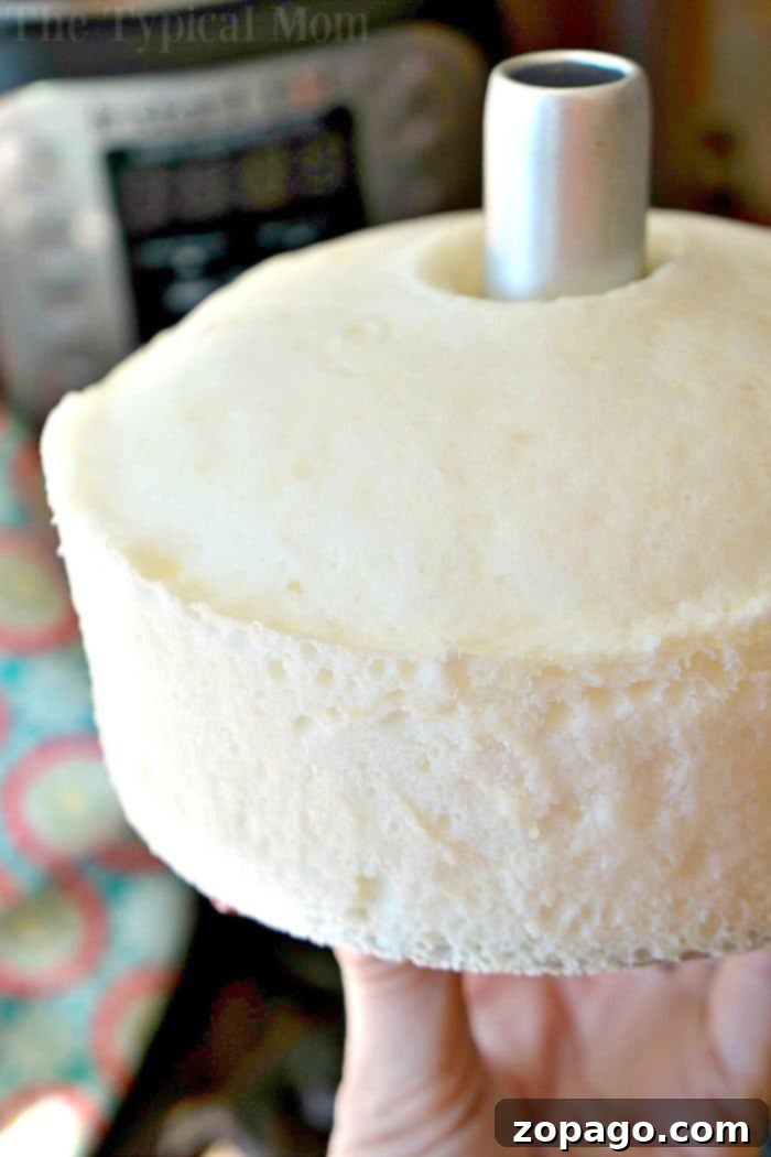 How to Prepare Instant Pot Angel Food Cake Batter Instant Pot Angel Food Cake batter, light and airy, ready for pressure cooking.