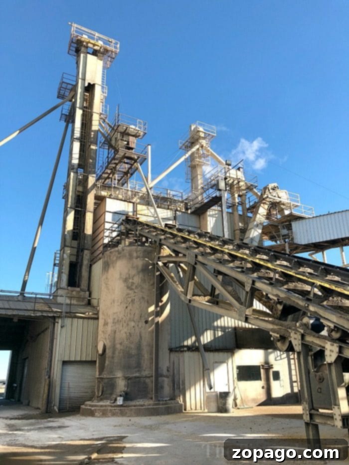 The sophisticated technology behind cattle feed production, ensuring optimal nutrition. Advanced Feed Production Technology
