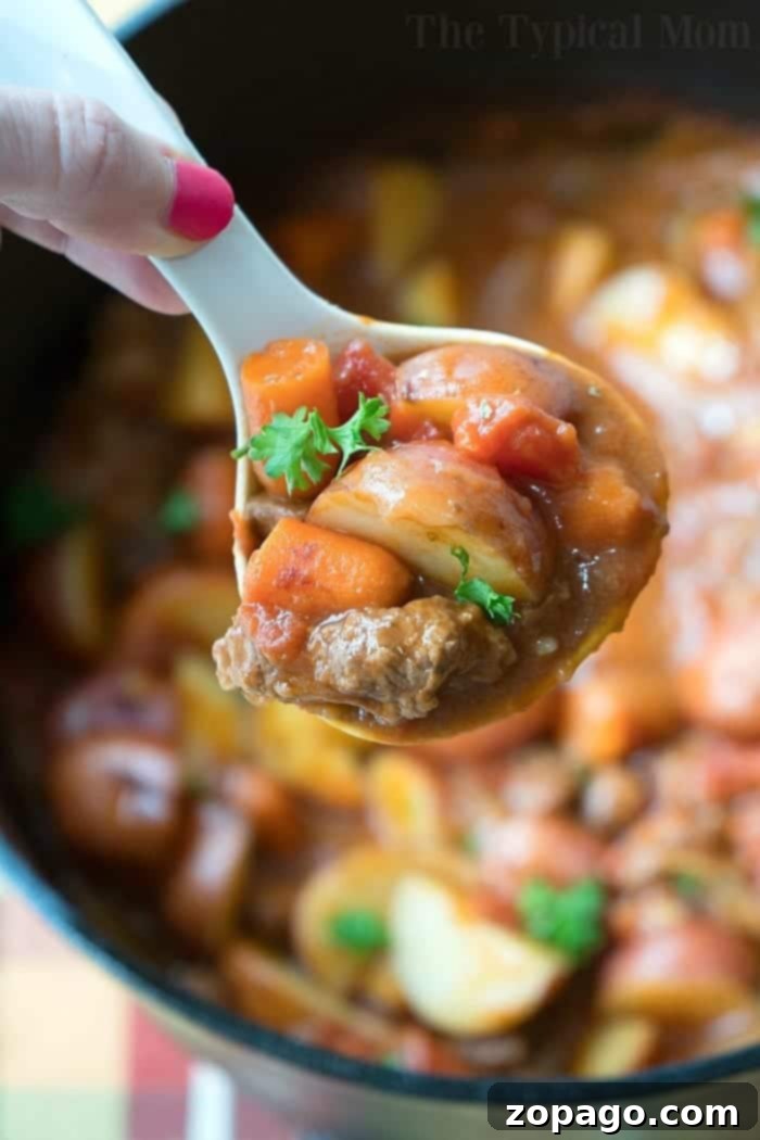 Slow cooker beef stew recipe you can make in your crockpot or stovetop too. Tender beef loaded with vegetables and a flavorful sauce too. #slowcooker #crockpot #beefstew #beef #stew #instantpot #stovetop Hearty slow cooker beef stew, perfect for chilly days, prepared in a Dutch oven or Crockpot.