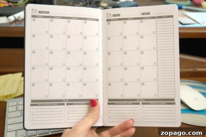 Master Your Productivity 7 Panda Planner for daily productivity