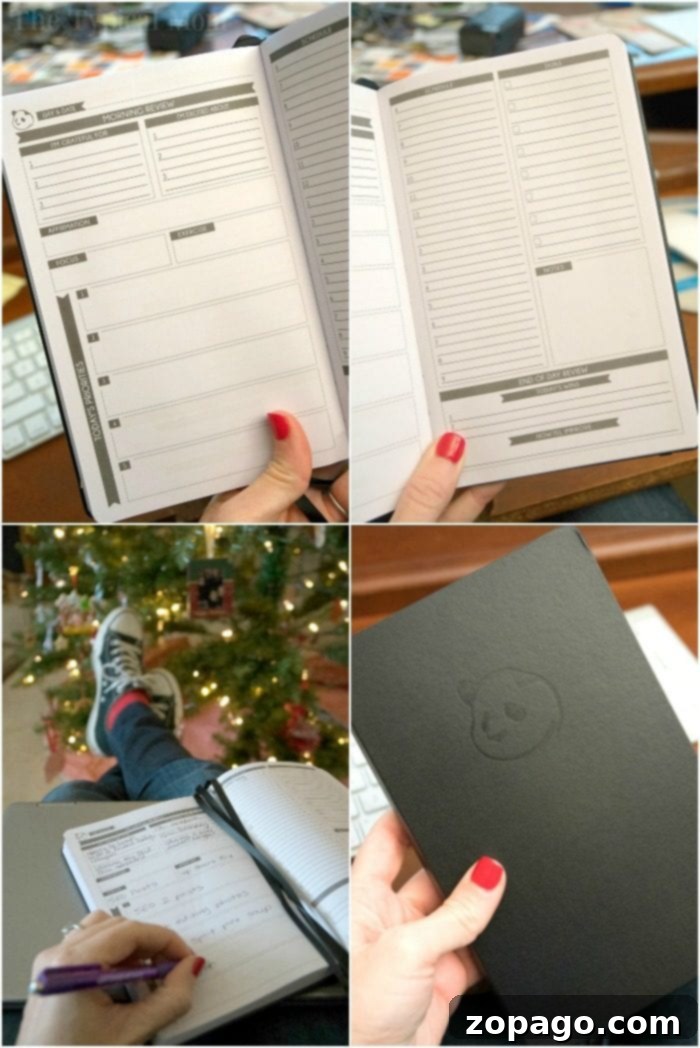 Master Your Productivity 8 Panda Planner for setting and tracking goals