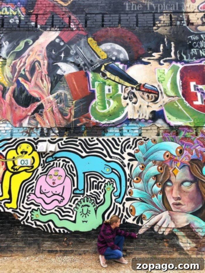 Vibrant street art at Freak Alley Boise Idaho