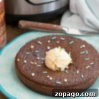Instant pot chocolate pudding cake topped with sprinkles and ice cream, served on a blue plate near a pressure cooker.