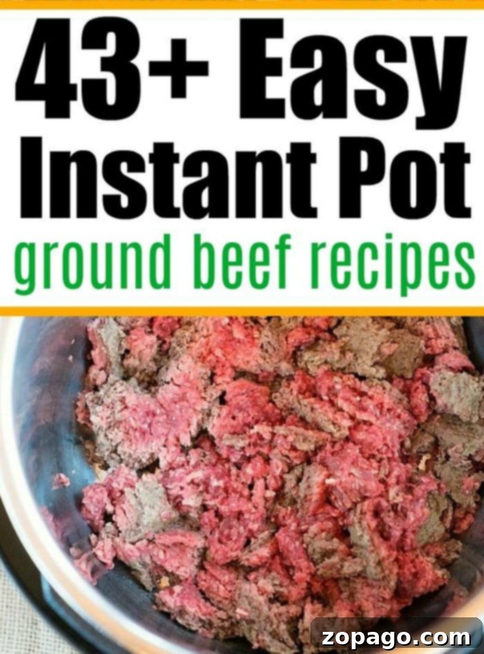 Pressure cooker ground beef recipes in an Instant Pot