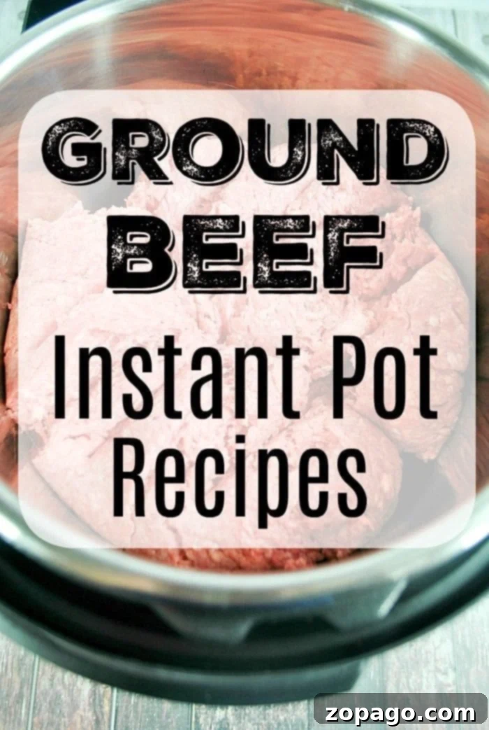 Assortment of Instant Pot ground beef dishes