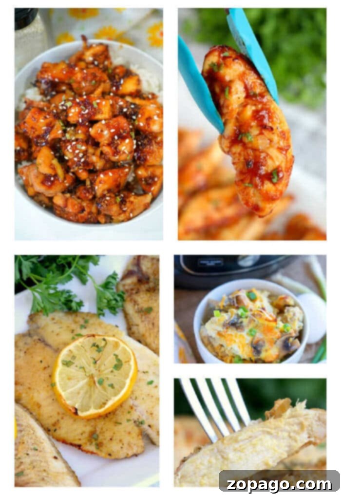 Healthy Pressure Cooker Meals 2 A vibrant collage showcasing various healthy electric pressure cooker recipes, including perfectly glazed chicken, a seasoned fish fillet with lemon, and a savory vegetable casserole, emphasizing nutritious and quick meal preparation.