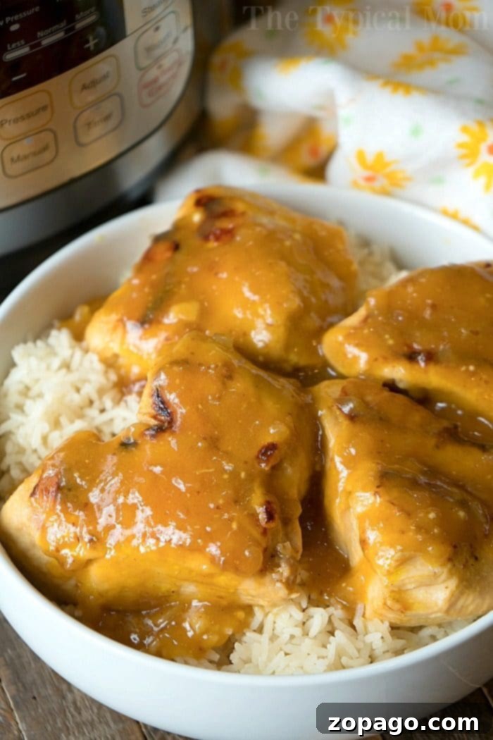 This Instant Pot honey mustard chicken is so simple to make with salad dressing and just one other ingredient. A dump and go dinner you can throw into your pressure cooker and have a healthy meal done in less than 20 minutes and for under $10 total. Served over rice it's an easy honey mustard chicken recipe. #instantpot #pressurecooker #chicken #honeymustard #instantpotrecipes #quickdinner #familyfriendly A vibrant plate of Instant Pot Honey Mustard Chicken, garnished with fresh green onions and herbs.