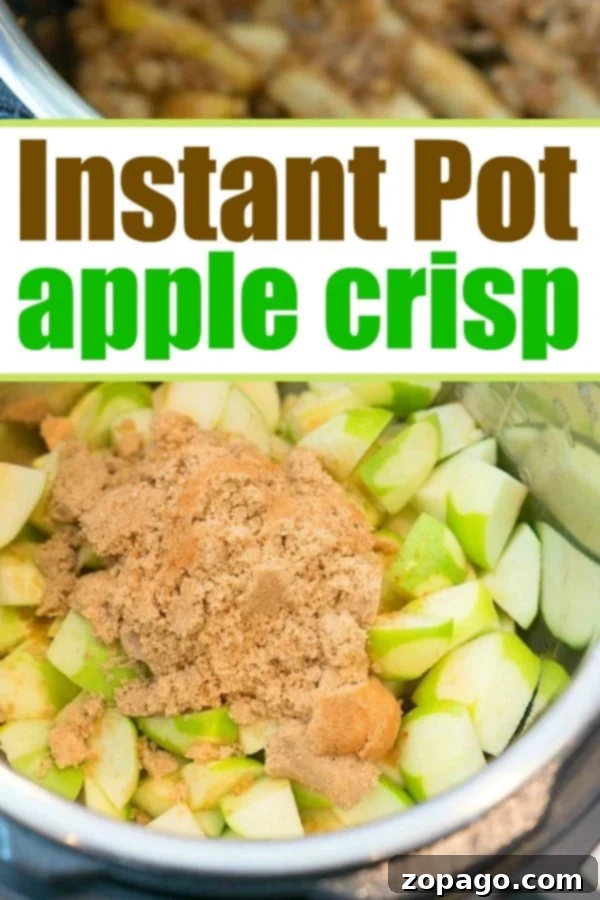 Instant Pot apple crisp recipe is amazing! Tastes like copycat Cracker Barrel baked apples we love but made in less than 20 minutes total. Warm cinnamon apples coated with a ooey gooey brown sugar glaze your family will go crazy over for sure. Try this homemade pressure cooker fruit dessert this week! #instantpot #pressurecooker #apples #applecrisp #dessert #bakedapples #instantpotrecipes #thetypicalmom #easy pressure cooker apple crisp