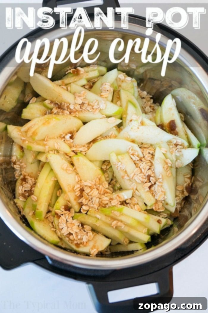 This Instant Pot apple crisp recipe is amazing! Tastes like copycat Cracker Barrel baked apples we love but made in less than 20 minutes total. Warm cinnamon apples coated with a ooey gooey brown sugar glaze your family will go crazy over for sure. Try this homemade pressure cooker fruit dessert this week! #instantpot #pressurecooker #apples #applecrisp #dessert #bakedapples #instantpotrecipes #thetypicalmom instant pot apple crisp
