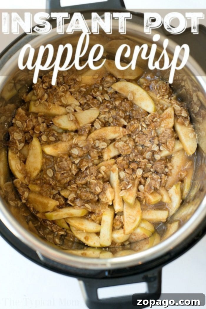 This Instant Pot apple crisp recipe is amazing! Tastes like copycat Cracker Barrel baked apples we love but made in less than 20 minutes total. Warm cinnamon apples coated with a ooey gooey brown sugar glaze your family will go crazy over for sure. Try this homemade pressure cooker fruit dessert this week! #instantpot #pressurecooker #apples #applecrisp #baked #dessert #pie instant pot apple crisp 2
