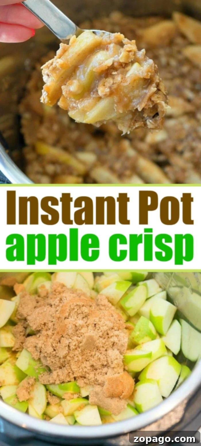 Instant Pot apple crisp recipe is amazing! Tastes like copycat Cracker Barrel baked apples we love but made in less than 20 minutes total. Warm cinnamon apples coated with a ooey gooey brown sugar glaze your family will go crazy over for sure. Try this homemade pressure cooker fruit dessert this week! #instantpot #pressurecooker #apples #applecrisp #dessert #bakedapples #instantpotrecipes #thetypicalmom #easy instant pot apple crisp