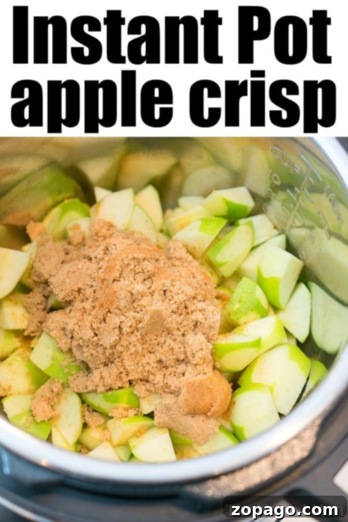 This Instant Pot apple crisp recipe is amazing! Tastes like copycat Cracker Barrel baked apples we love but made in less than 20 minutes total. Warm cinnamon apples coated with a ooey gooey brown sugar glaze your family will go crazy over for sure. Try this homemade pressure cooker fruit dessert this week! #instantpot #pressurecooker #apples #applecrisp #baked #dessert #pie instant pot apple crisp
