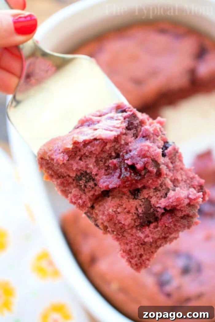 You've got to try this easy 3 ingredient cherry pie filling dump cake for dessert! It's so simple to make even your kids can throw it together. It's really moist and packed with dark cherries or any other pie filling flavor you love. Cake mix baking has never been easier with this fun dump cake recipe. #cherry #pie #cake #dump #blueberry #easy #piefilling #cakemix #recipes A close-up of a person's hand holding a spatula with a cherry pie cake slice made from cherry pie filling. The cake has a fluffy texture, containing dark, maroon-colored fruit bits within it. A pan with the remaining dump cake is in the background. The rich, moist interior of this easy cherry dump cake is clearly visible, making it an irresistible dessert.