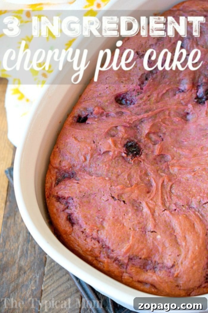 You've got to try this easy 3 ingredient cherry pie filling dump cake for dessert! It's so simple to make even your kids can throw it together. It's really moist and packed with dark cherries or any other pie filling flavor you love. Cake mix baking has never been easier with this fun dump cake recipe. #cherry #pie #cake #dump #blueberry #easy #piefilling #cakemix #recipes A tempting 3-ingredient cherry pie filling dump cake, baked to golden perfection and ready to be enjoyed.