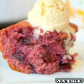 A delightful 3 ingredient cherry dump cake topped with vanilla ice cream sits elegantly on a white plate.