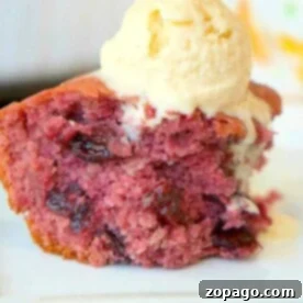 A delightful 3 ingredient cherry dump cake topped with vanilla ice cream sits elegantly on a white plate.
