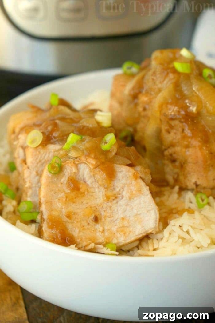 Instant Pot pork tenderloin is a great dinner idea to make with just a sprinkle of salt and pepper, or with a thick french onion gravy that's fantastic! #instantpot #instantpotrecipes #instantpotpork #porktenderloin #pressurecookerrecipes #pork Instant Pot pork tenderloin with savory French onion gravy