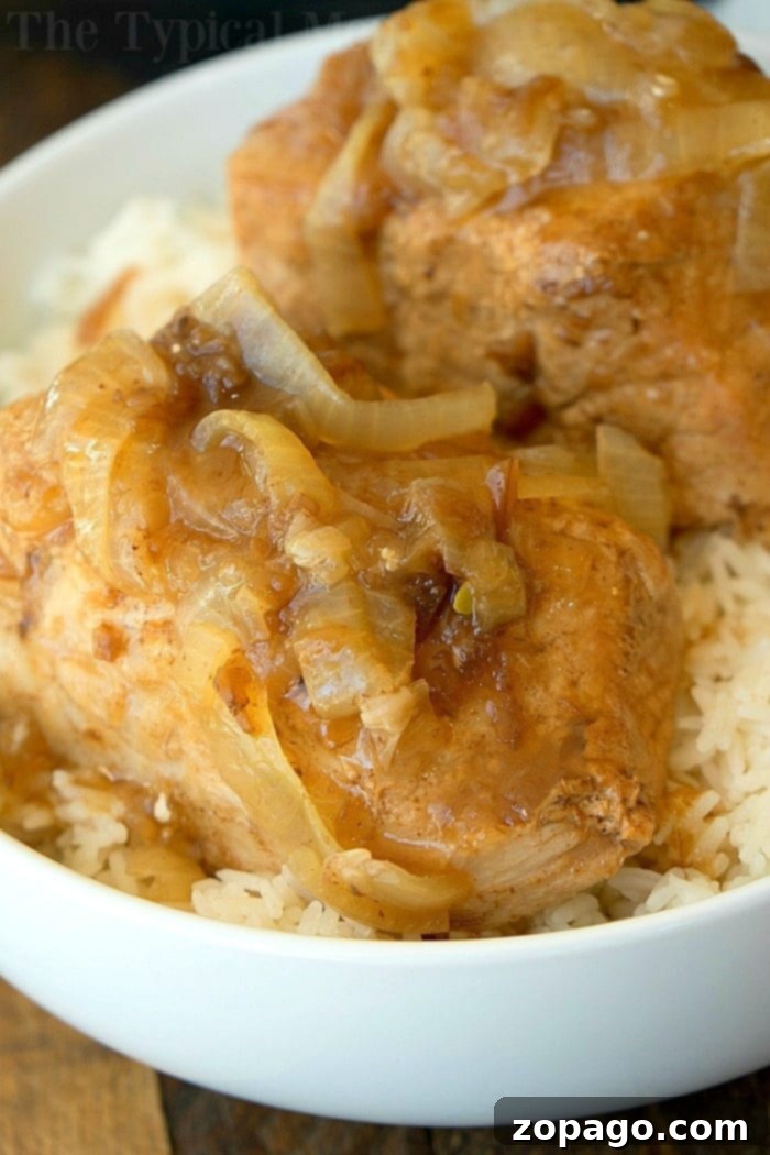 Another view of the delicious Instant Pot French Onion Pork Tenderloin, highlighting its rich sauce and tender slices.