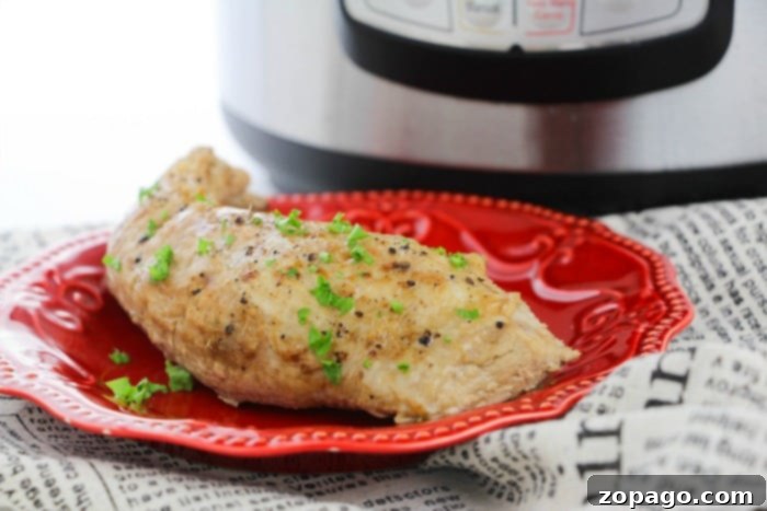 A serving of Instant Pot pork tenderloin with French onion gravy, garnished and ready to be enjoyed.