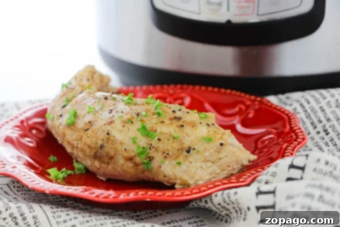 Perfectly Tender Instant Pot Pork Tenderloin 5 pork tenderloin recipe