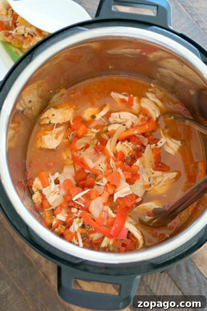 Instant Pot salsa chicken: A healthy and easy pressure cooker recipe, perfect for shredded chicken tacos. Close-up of perfectly cooked and shredded Instant Pot Salsa Chicken, showcasing its vibrant color and tender texture, ready for serving.