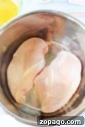 Easy Instant Pot Salsa Chicken 3 Two raw chicken breasts seasoned and ready in a stainless steel mixing bowl for Instant Pot Salsa Chicken preparation.