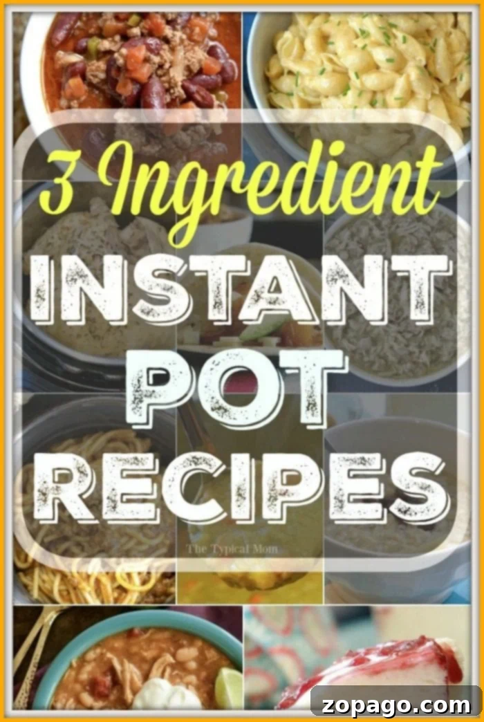 Discover easy 3-ingredient Instant Pot recipes for dinner, dessert, and sides, plus more with 5 ingredients or less. Quick, delicious, and perfect for busy cooks. A vibrant array of quick and easy 3-Ingredient Instant Pot Recipes displayed on a table