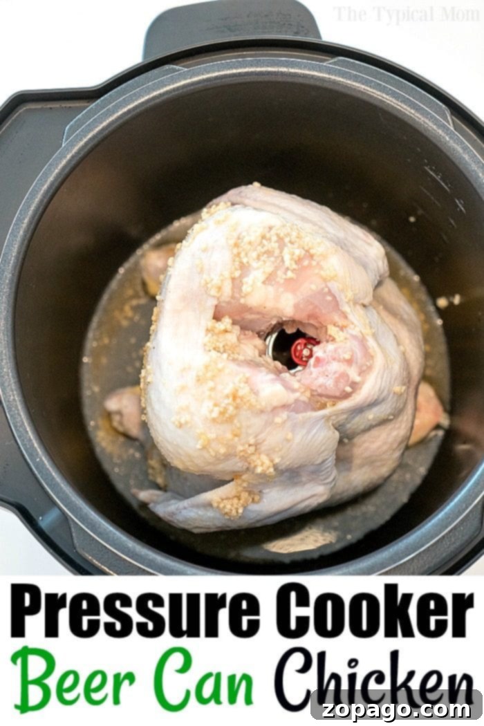 3 ingredient Instant Pot recipes + more with 5 ingredients or less. From dinner to dessert and side dishes in between, we are sharing the easiest meal ideas you can make in your pressure cooker today. #instantpot #pressurecooker #3ingredients #instantpotrecipes #dinners #thetypicalmom #roundup Pressure Cooker Beer Can Chicken 2