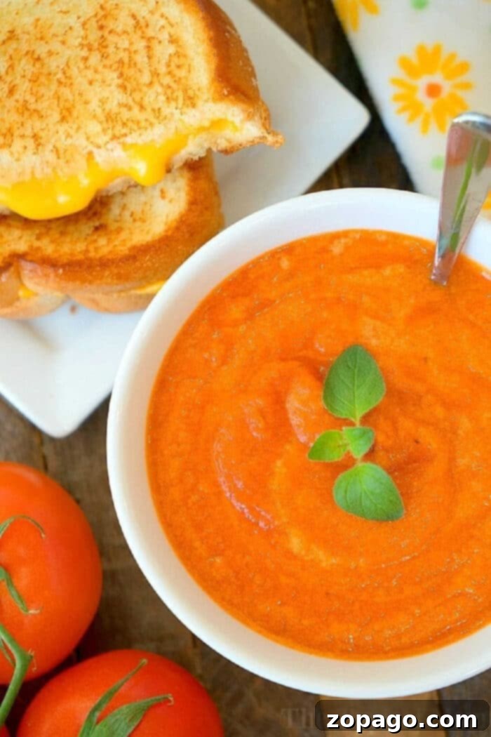 Hearty Slow Cooker Creamy Tomato Soup with Canned Tomatoes Easy and creamy slow cooker tomato soup, garnished with fresh basil, ready to be served