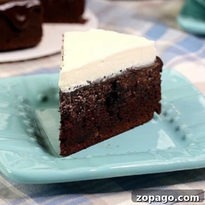 Decadent Instant Pot Chocolate Cake 2 Decadent Chocolate Instant Pot Cake with frosting