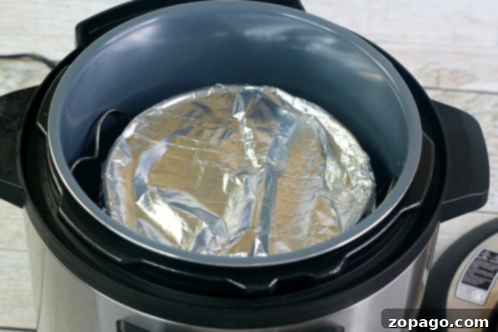 Decadent Instant Pot Chocolate Cake 4 Ingredients laid out for Instant Pot chocolate cake