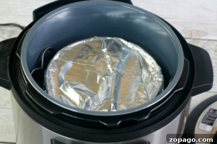Easy Instant Pot Chocolate Cake 4 Ingredients for an Instant Pot dessert