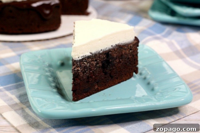 Decadent Instant Pot Chocolate Cake 5 Whole chocolate Instant Pot cake with ganache and frosting
