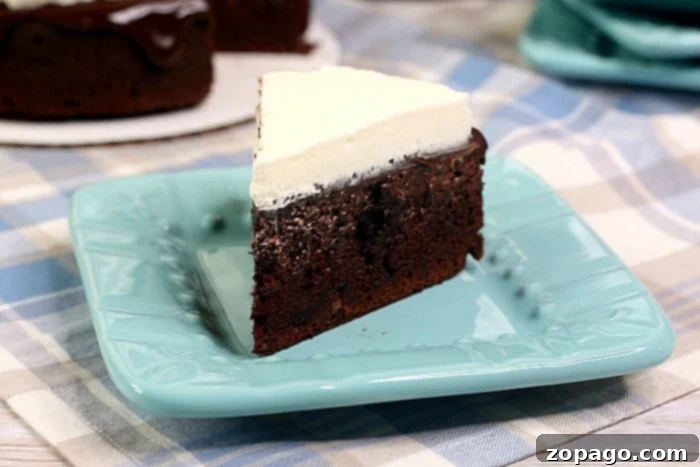 Easy Instant Pot Chocolate Cake 5 Delicious pressure cooker chocolate cake