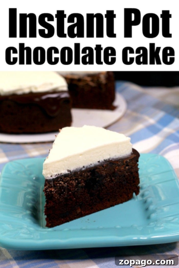 Decadent Instant Pot Chocolate Cake 7 Delicious slice of Instant Pot chocolate cake on a white plate