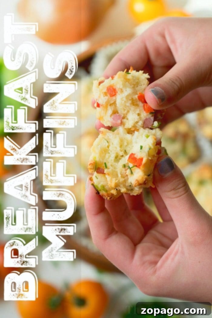 Ham and Cheese Savory Muffins for Quick Breakfast A batch of baked savory breakfast muffins with ham and cheese, cooling in a muffin tin, garnished with fresh herbs.