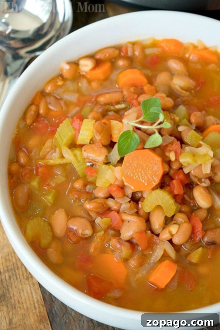 Instant Pot pinto bean soup recipe that is packed with flavor and can be a vegetarian soup too! Load it up with vegetables and there's no soaking required to start from scratch. #instantpot #pressurecooker #pintobean #soup #pinto #vegetarian #instantpotrecipes #thetypicalmom Hearty Instant Pot Pinto Bean Soup with fresh herbs, perfect for a healthy meal.